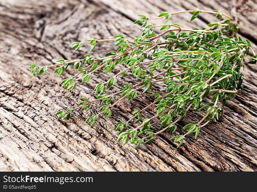 Thyme herb on wooden table. Thyme herb on wooden table.