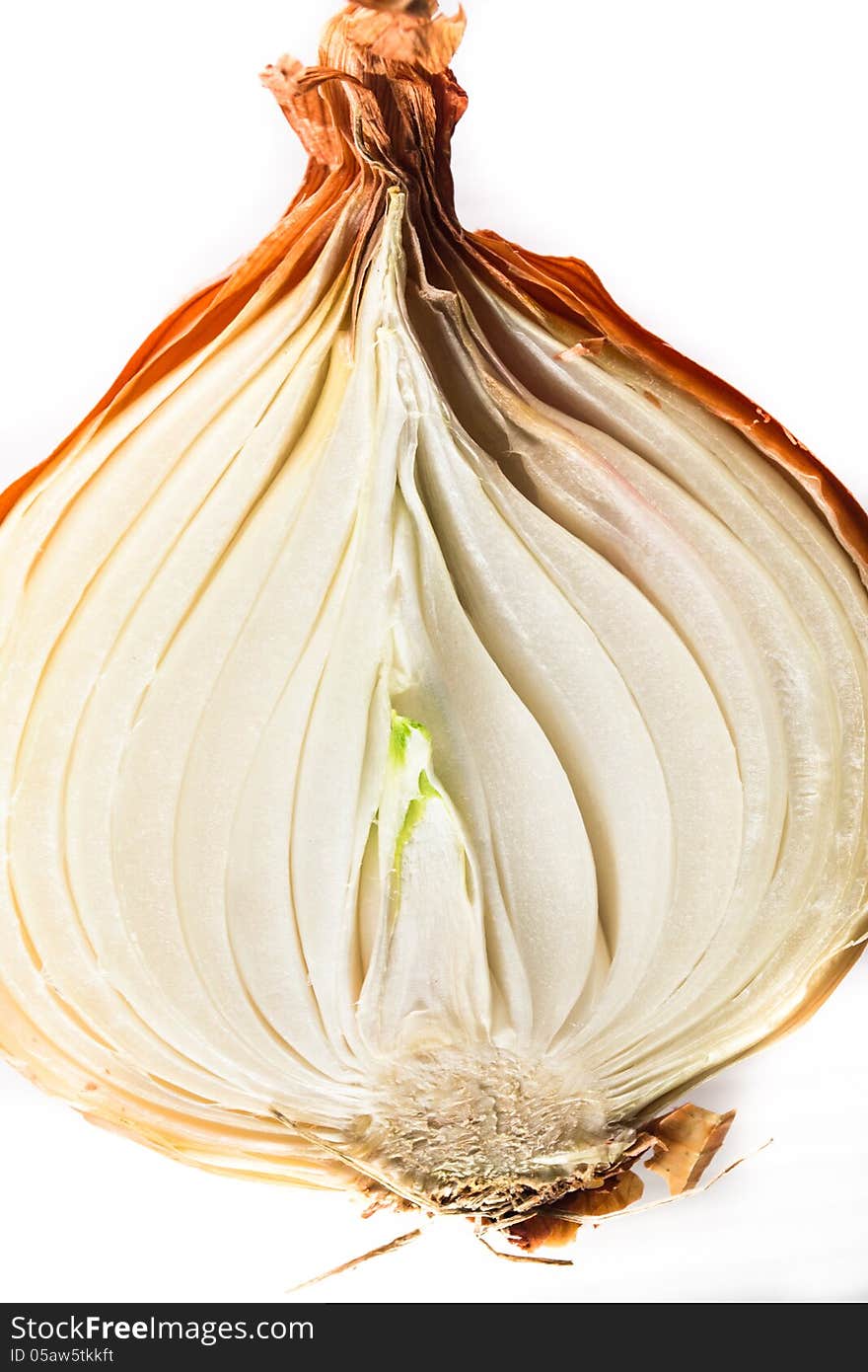 Golden onion