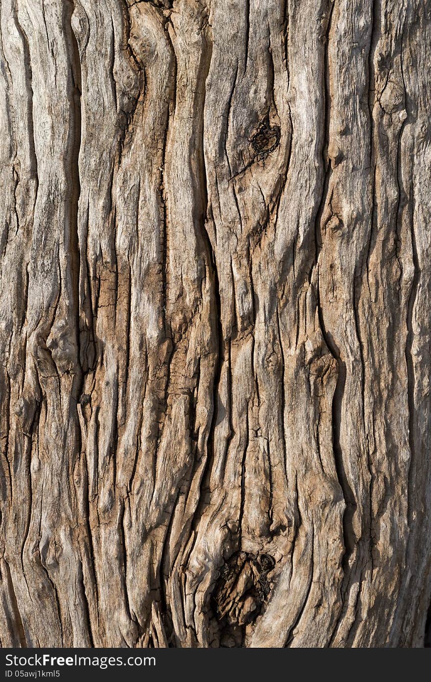 Old Wood Background.