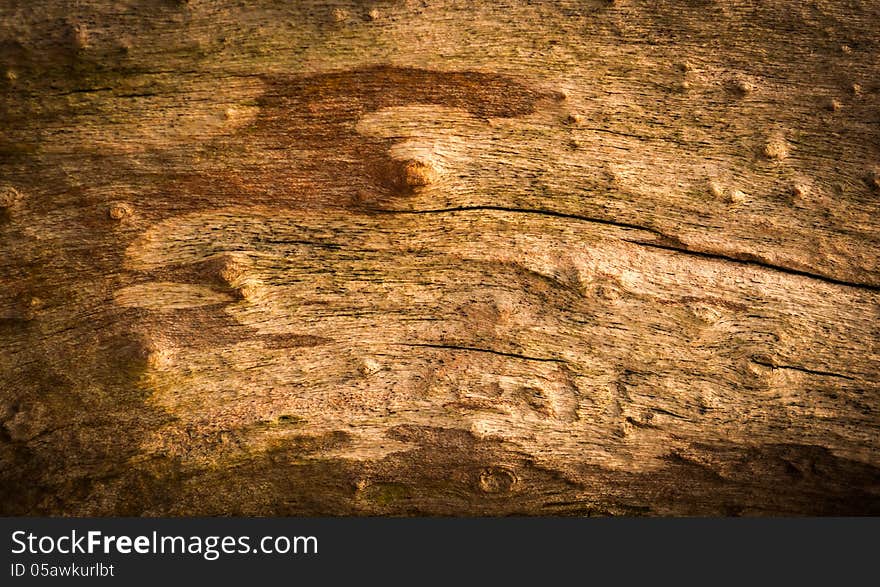 Tinted Texture of Vintage Grungy Old Wood.