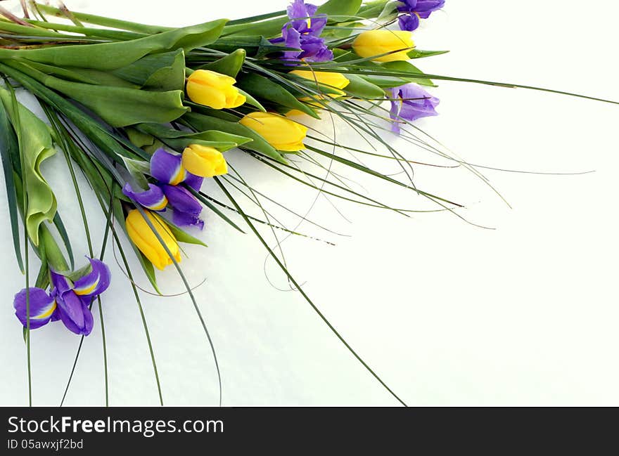 Bouquet Of Tulips And Irises