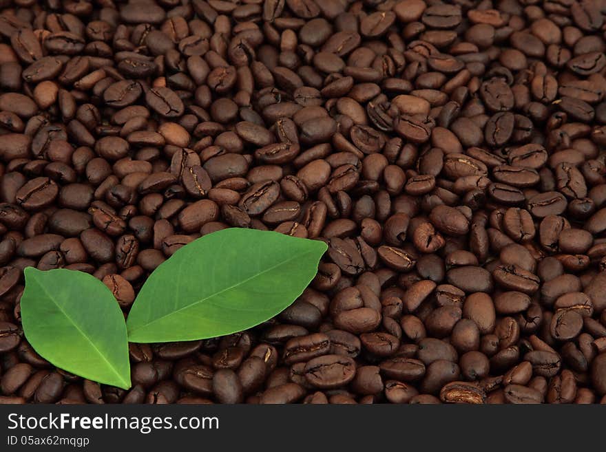 Coffee beans with leaf sprigs forming a background.