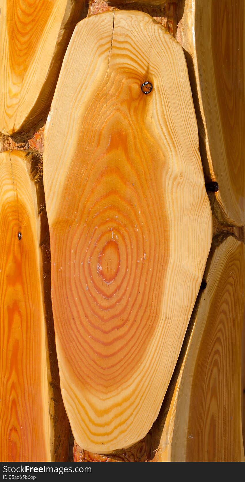 Vertical view of wood layers. Vertical view of wood layers