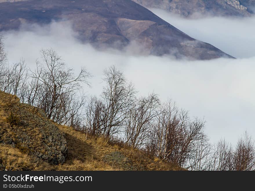 Mountains in the cloud