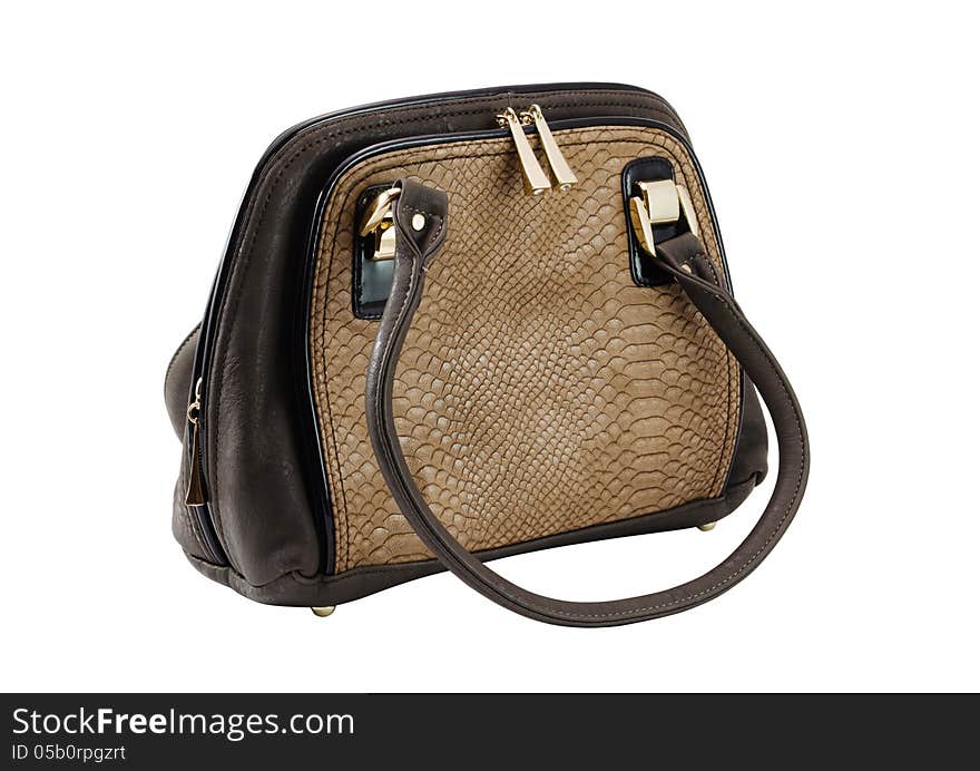 Female bag of brown colour with an insert from a skin of a snake separately on a white background