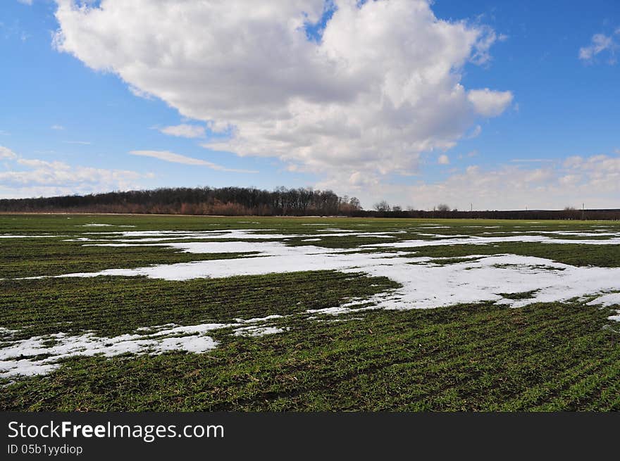 Bits and pieces of snow on the wheat field by an early spring