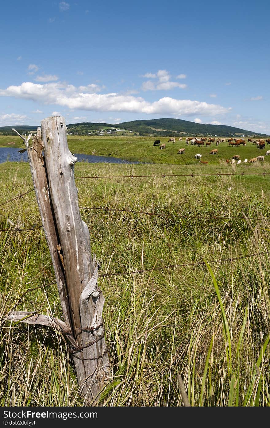 Farming Landscape