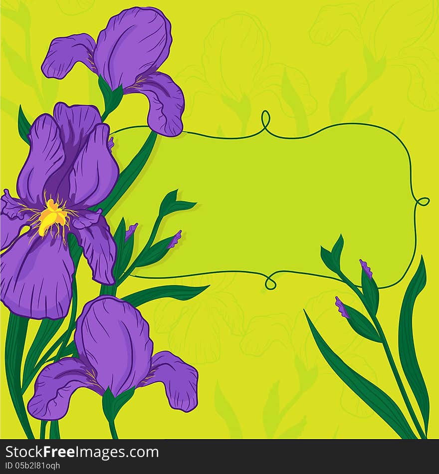 Vector vignette with iris flowers