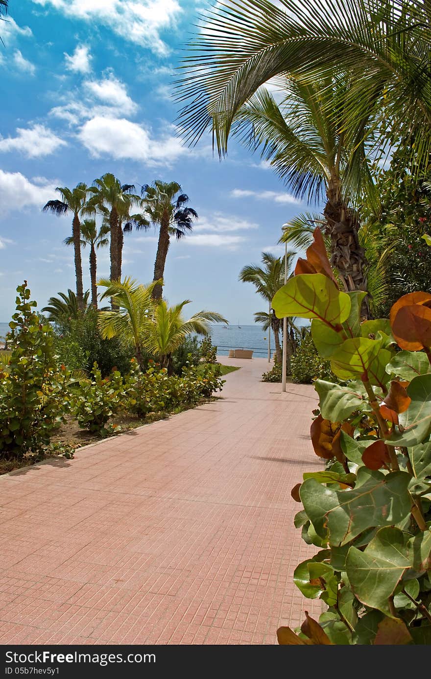 Sea view from Tenerife