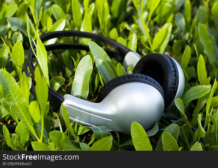 Gray Headphones On Green Grass