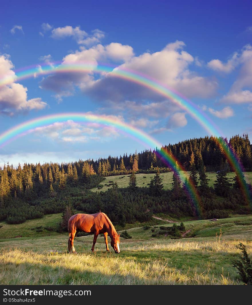 A horse grazing in the mountains