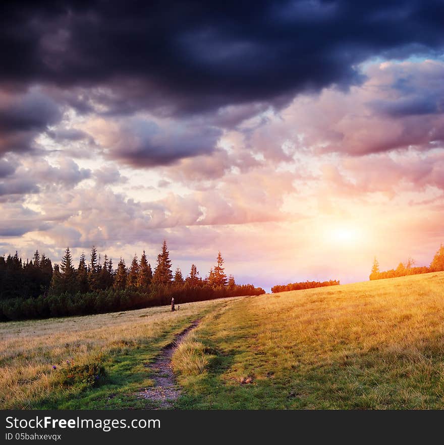 Trail in the mountains of forest. Evening sky with clouds