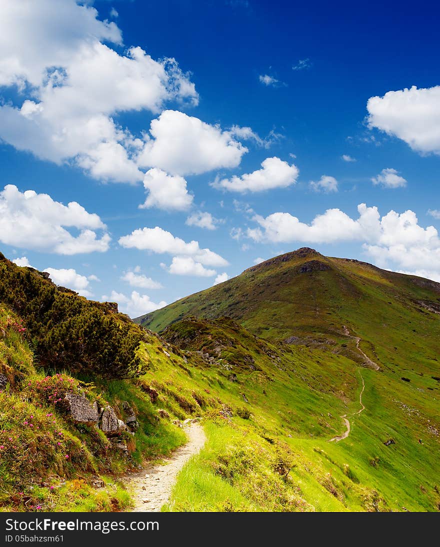 Trail in the mountains. Sunny Day