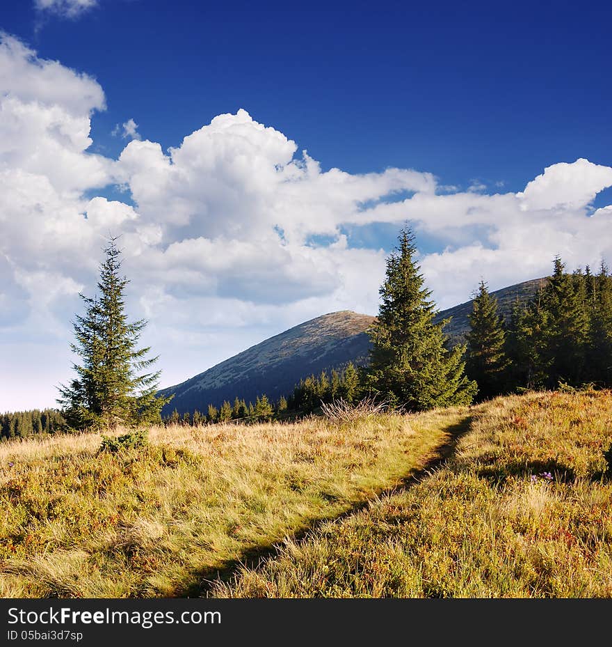 View from a mountain path