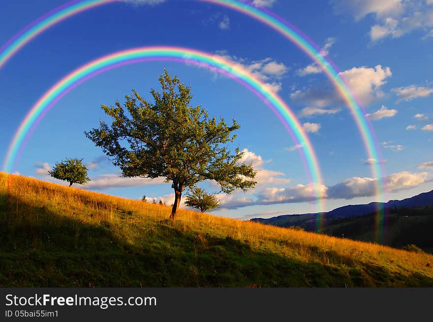 Evening Landscape with a rainbow above the tree. Evening Landscape with a rainbow above the tree