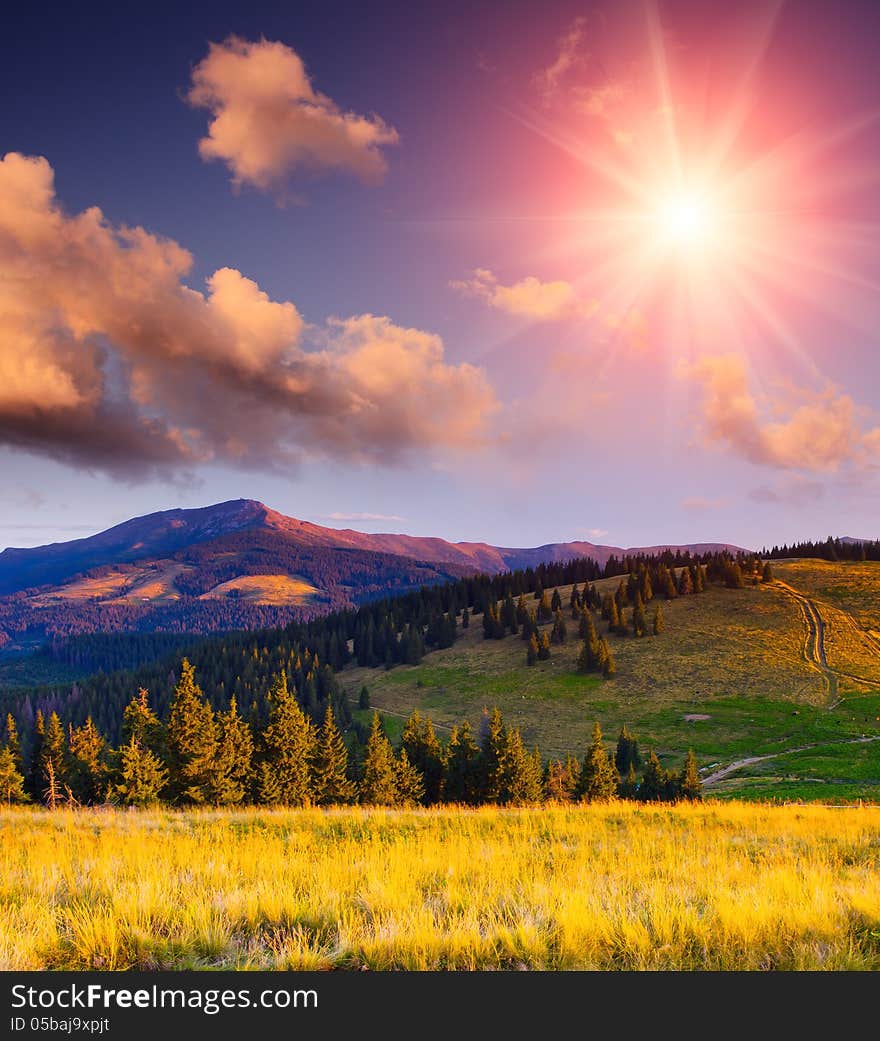 Wonderful evening landscape in the mountains with the sun. Wonderful evening landscape in the mountains with the sun