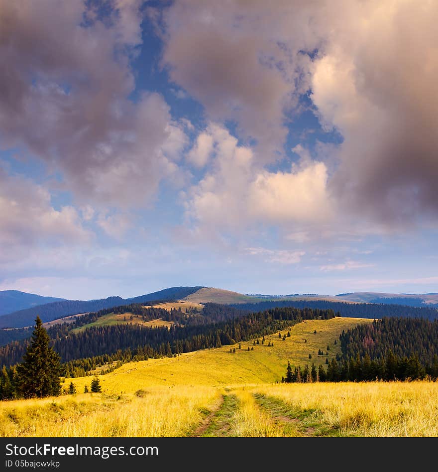 Daytime landscape with hills and road