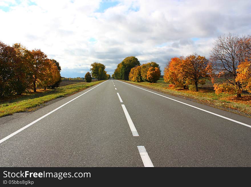 Freeway lined with trees. In the fall they create beautiful landscapes. Freeway lined with trees. In the fall they create beautiful landscapes.