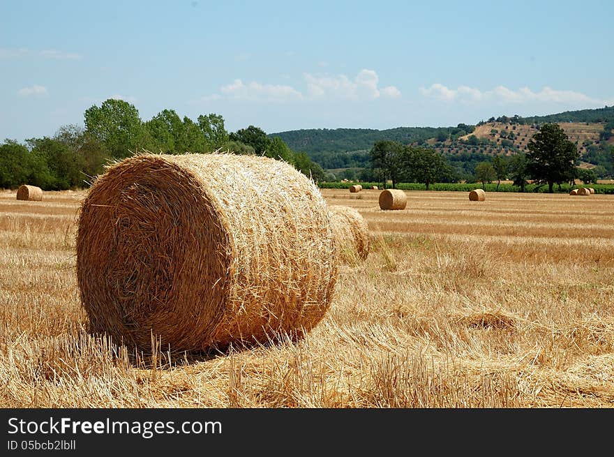 Hay Bale Landscape with mountains