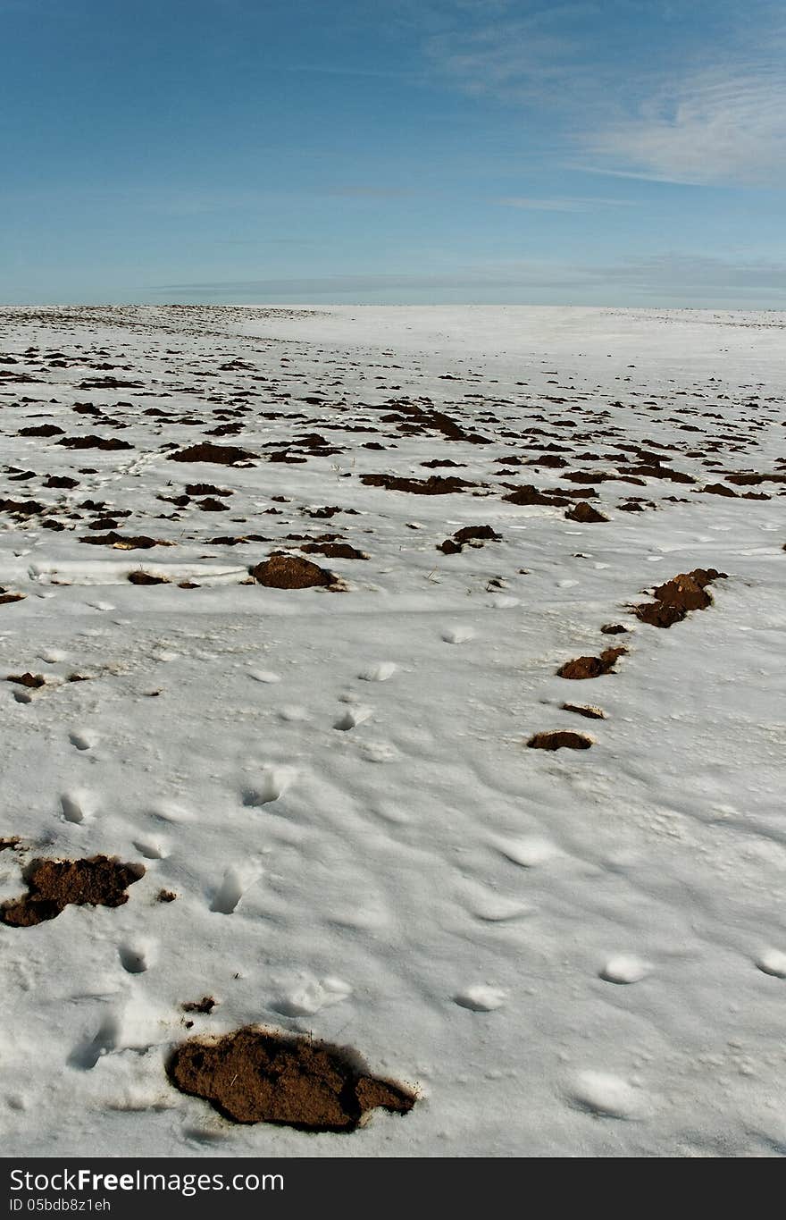 Snowy field.