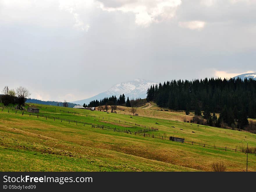 Mountains In A Blue Sky, And Spring Grass.