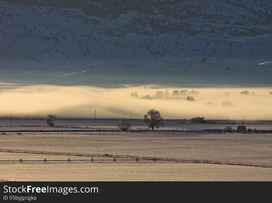 The Cove Fog