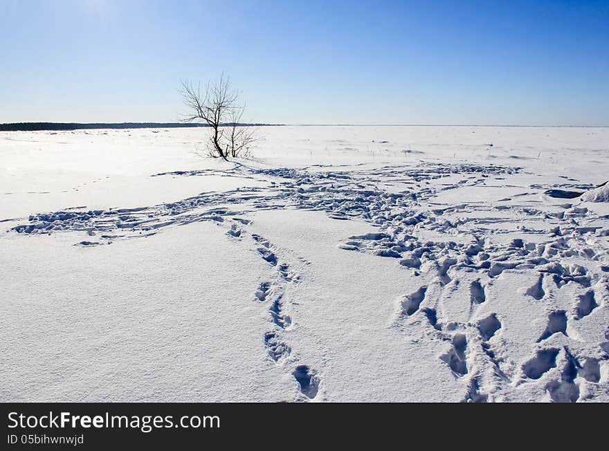 Winter Snow Landscape Footprint Blue Sky. Winter Snow Landscape Footprint Blue Sky