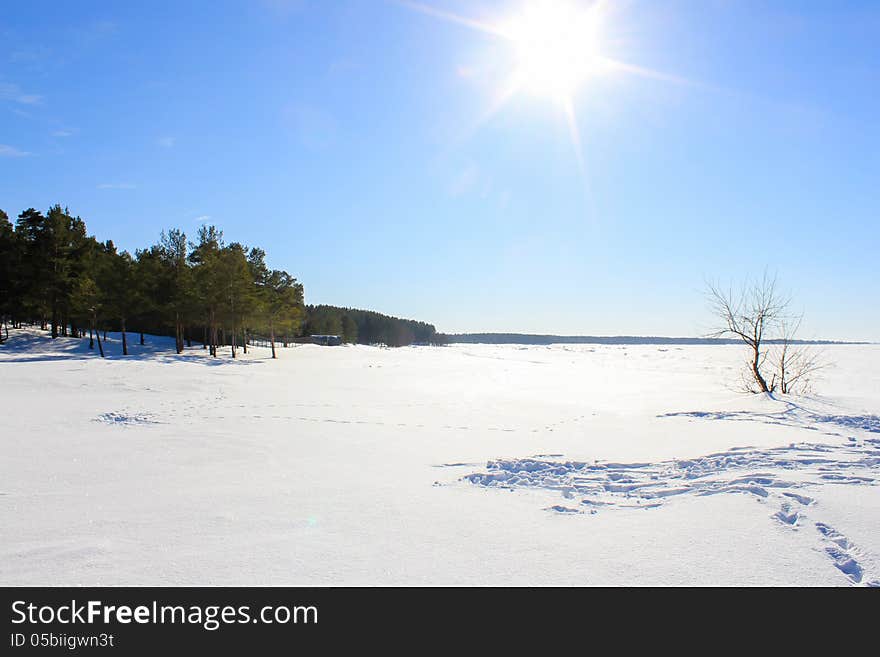 Winter snow sun