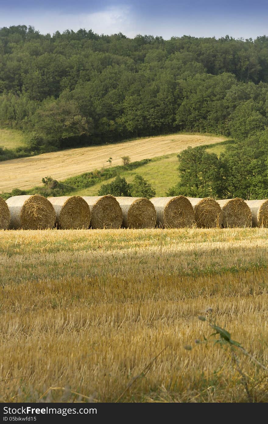 Rural scene