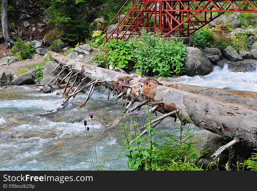 Bridge over the river