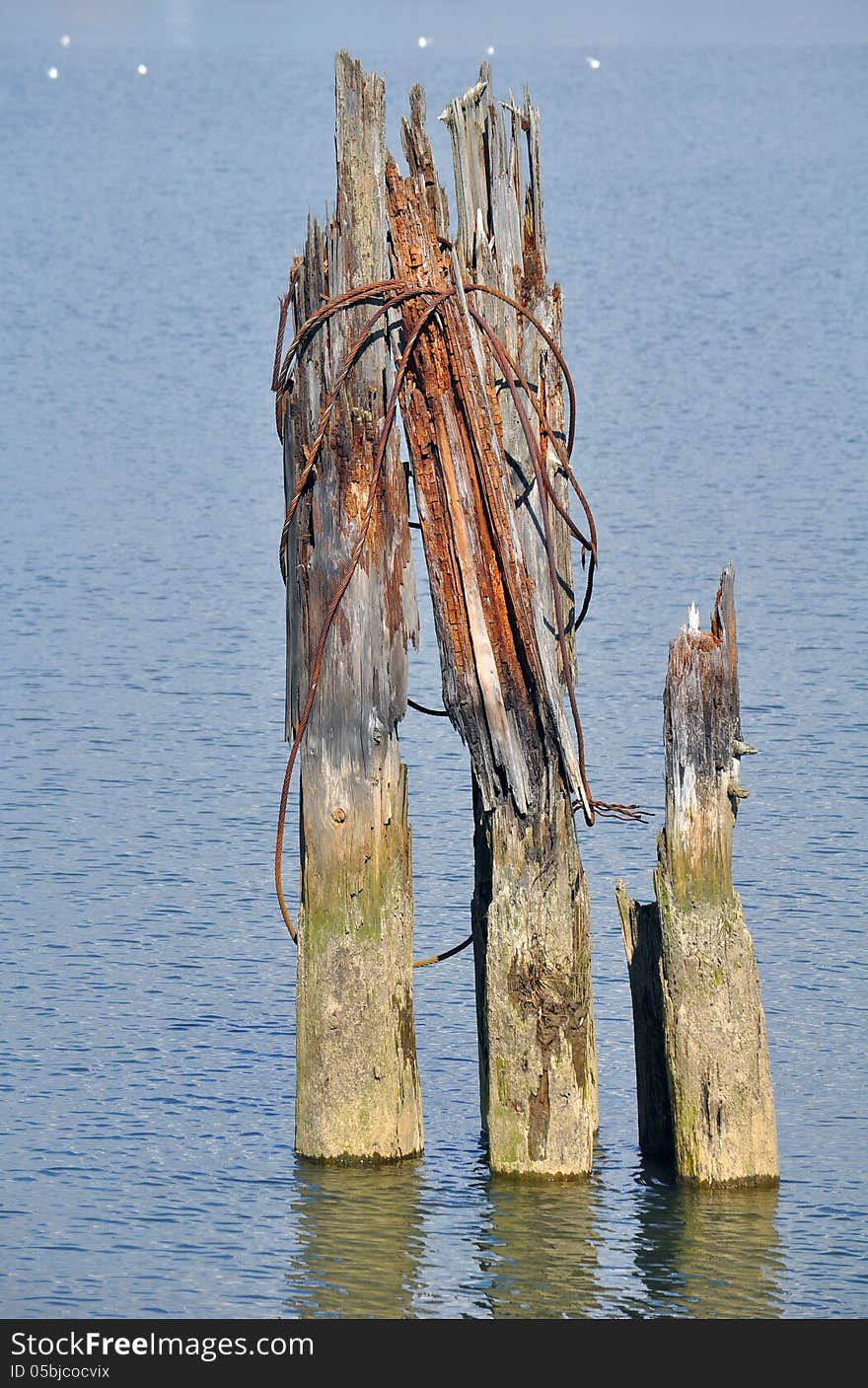 Part Of Old Wooden Pier