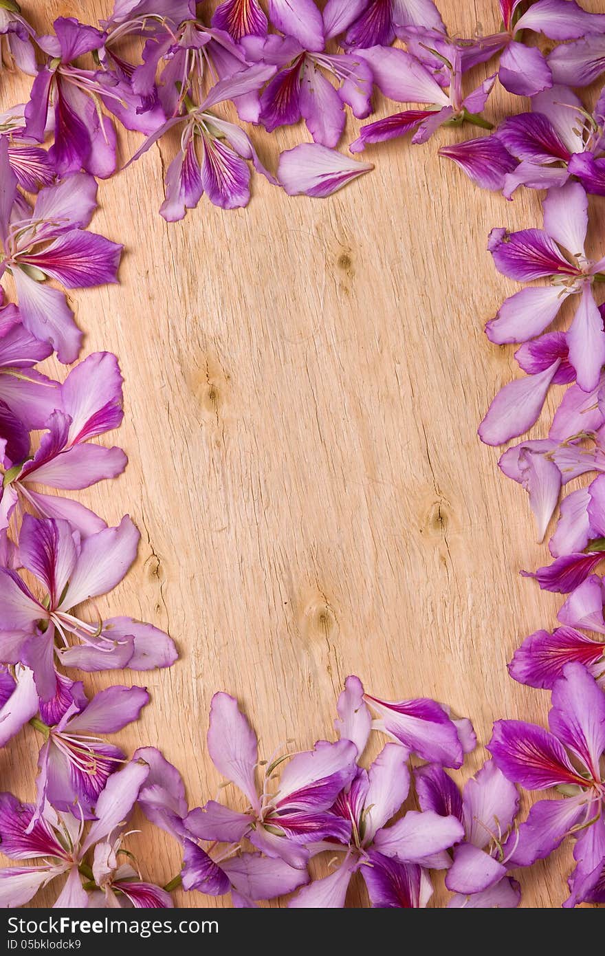 Frame with bauhinia petals on wood