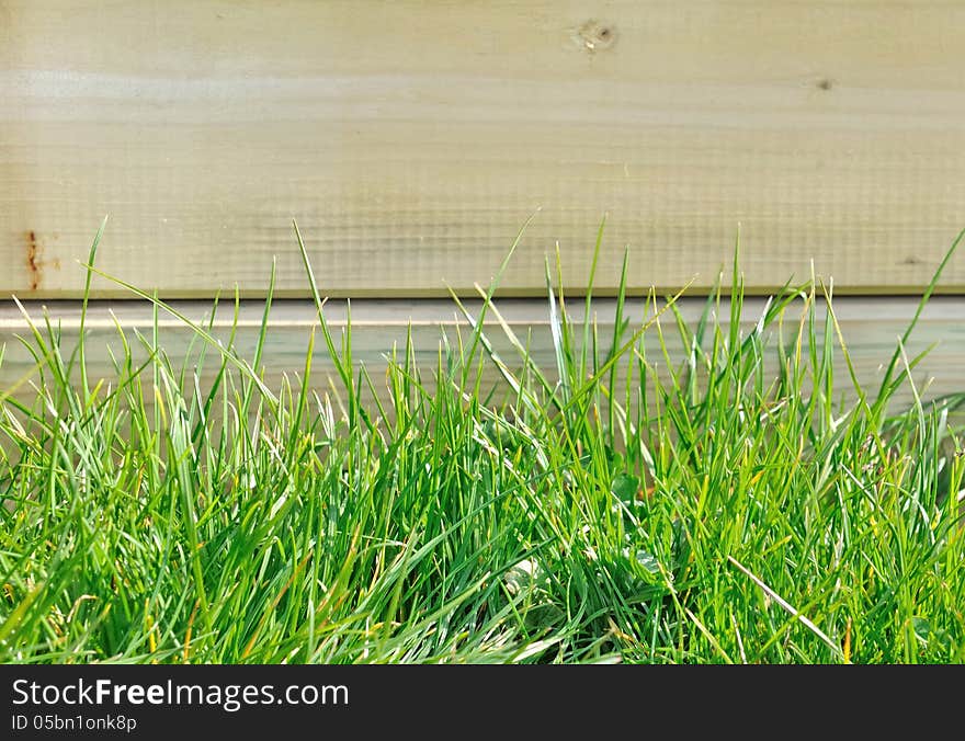 Close on green grass blades in front of a wooden border. Close on green grass blades in front of a wooden border