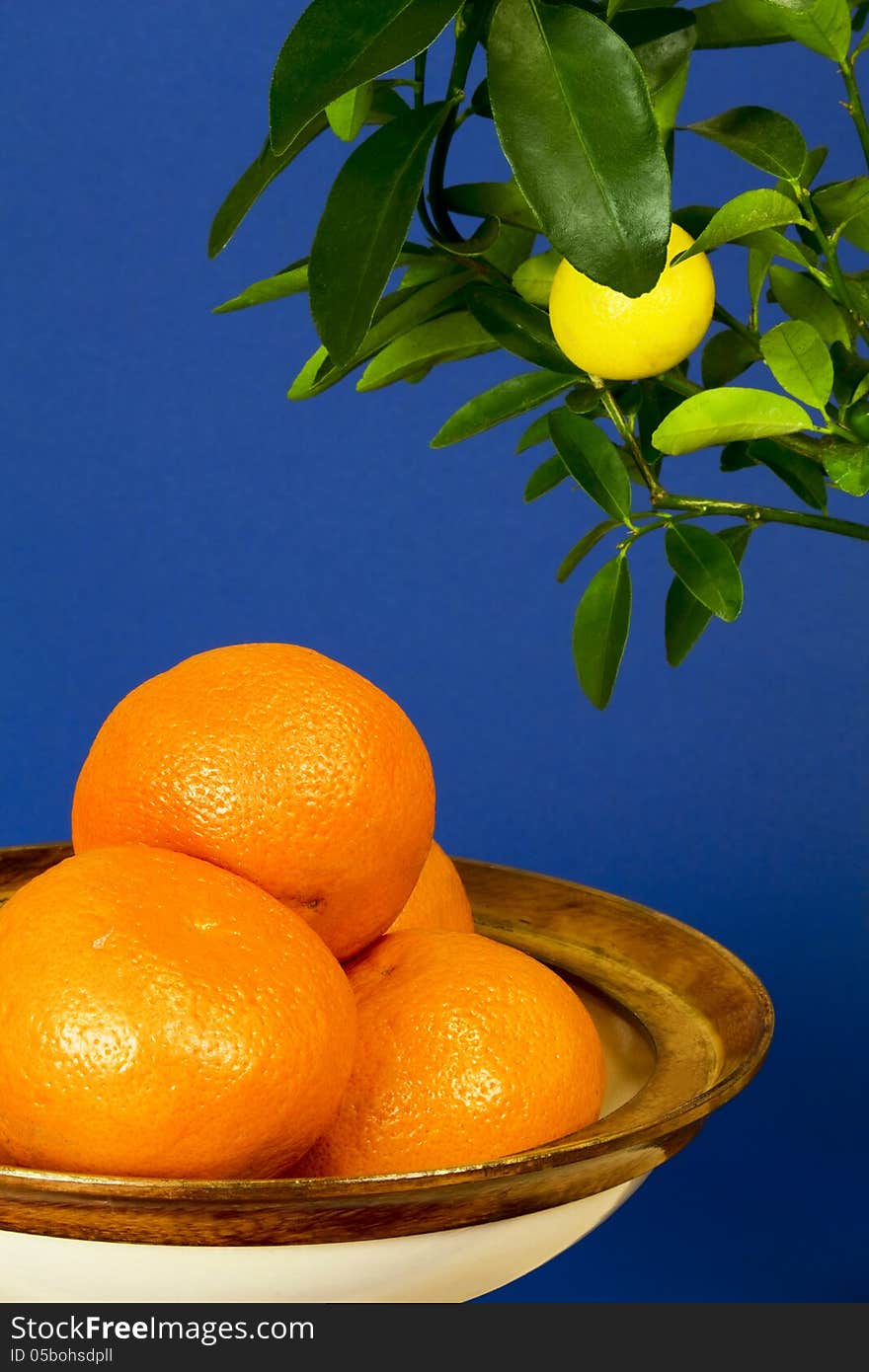 Tangerines in a bowl