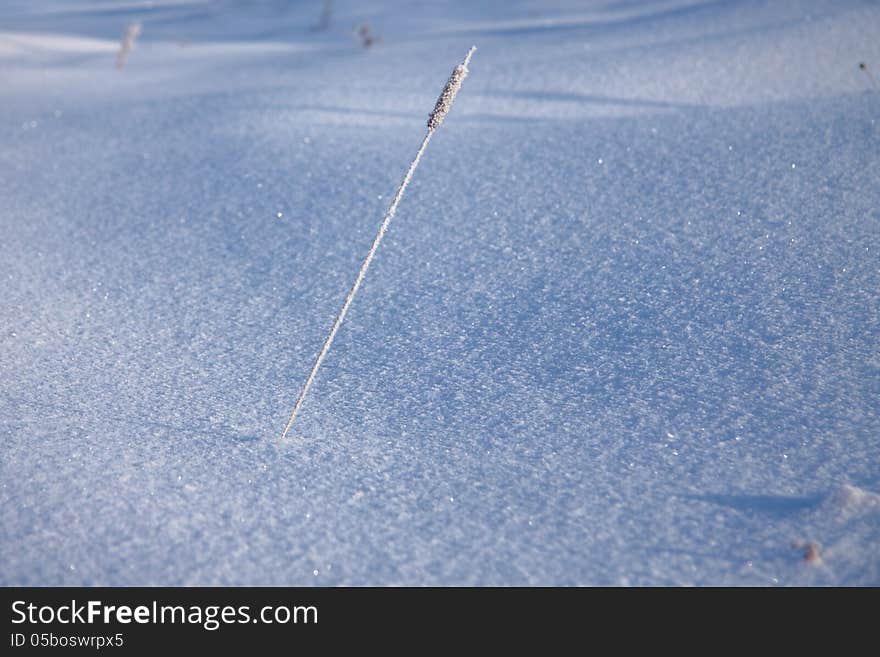 Beautiful winter abstract background from white snow