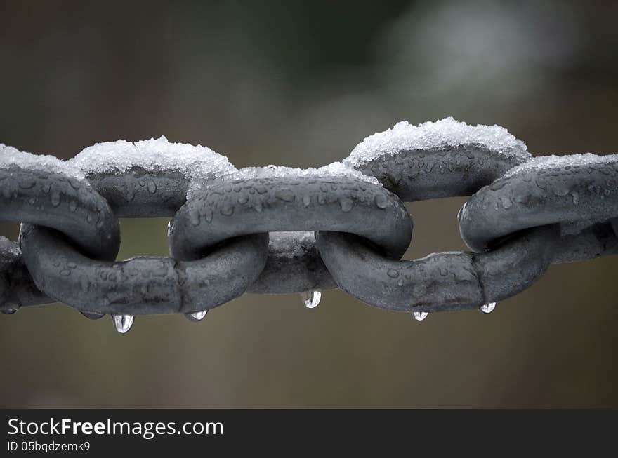 chain with snow, although it thaws raindrops hang on the image border. chain with snow, although it thaws raindrops hang on the image border.