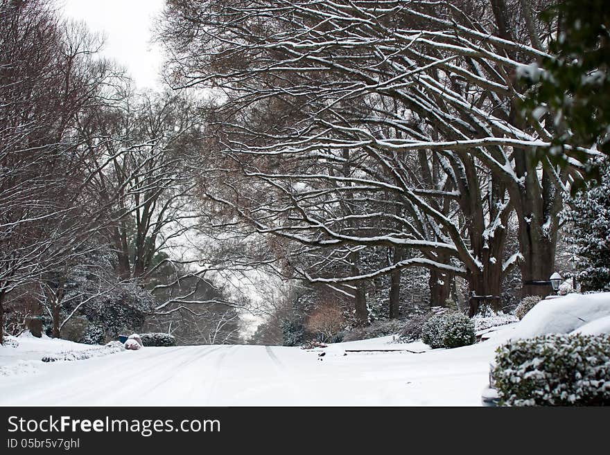 Snow covered street and treeline after snow