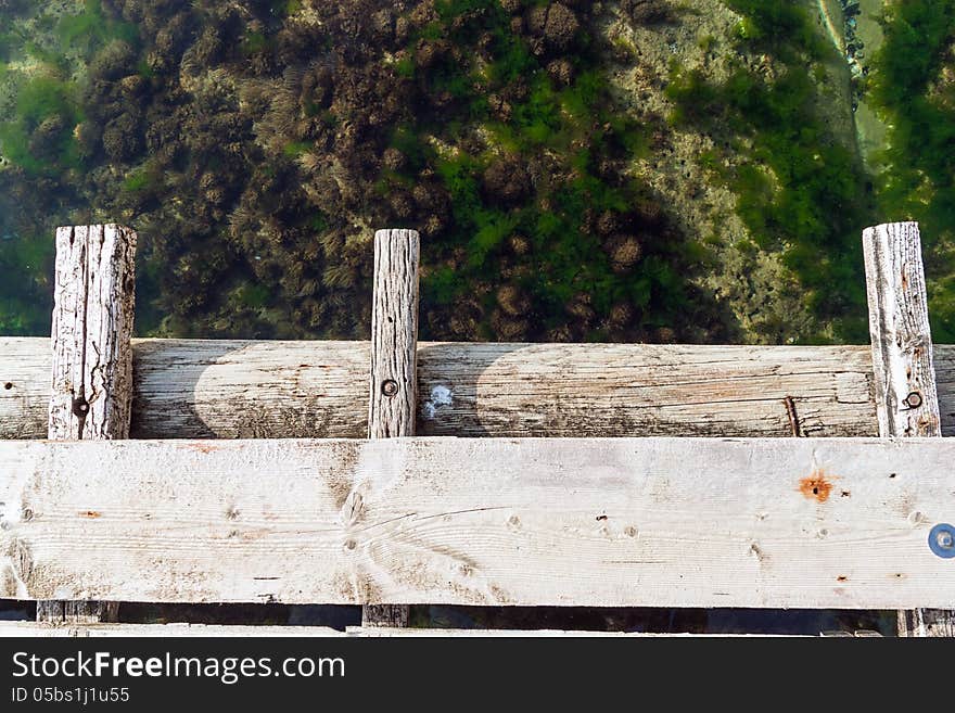 Standing On A Bridge