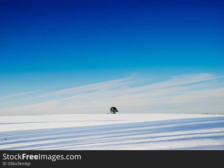 Winter landscape