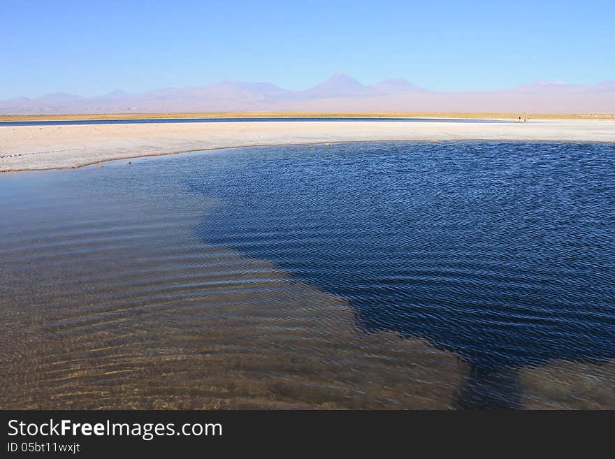 The Laguna Cejar, Chile