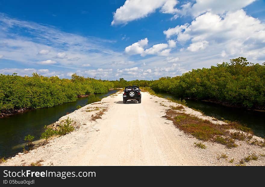 Car In Tropical Island