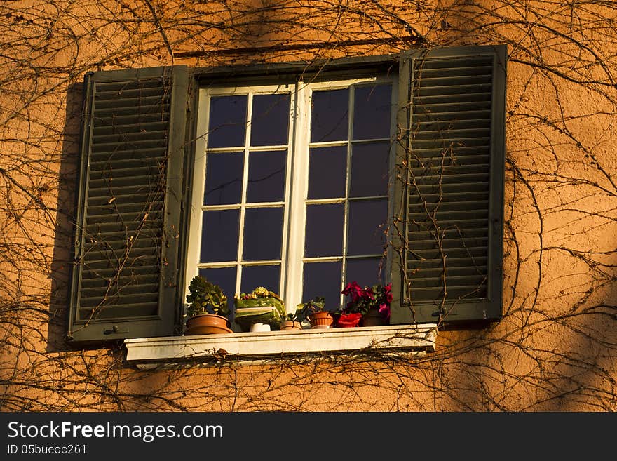 Decorated Window