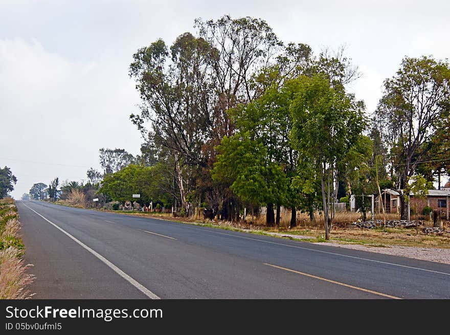 Road in perspective with trees beside the way. Road in perspective with trees beside the way