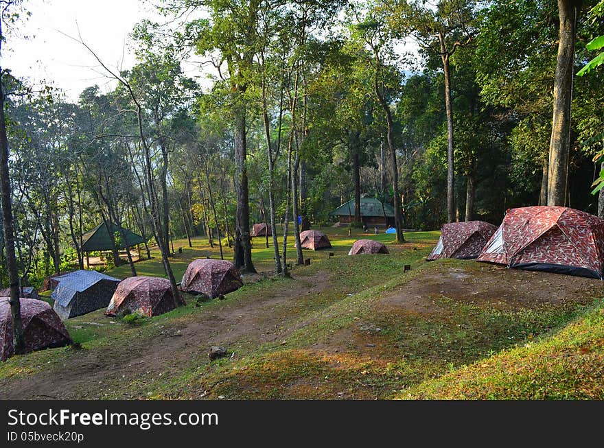 Camping at Chiang Mai