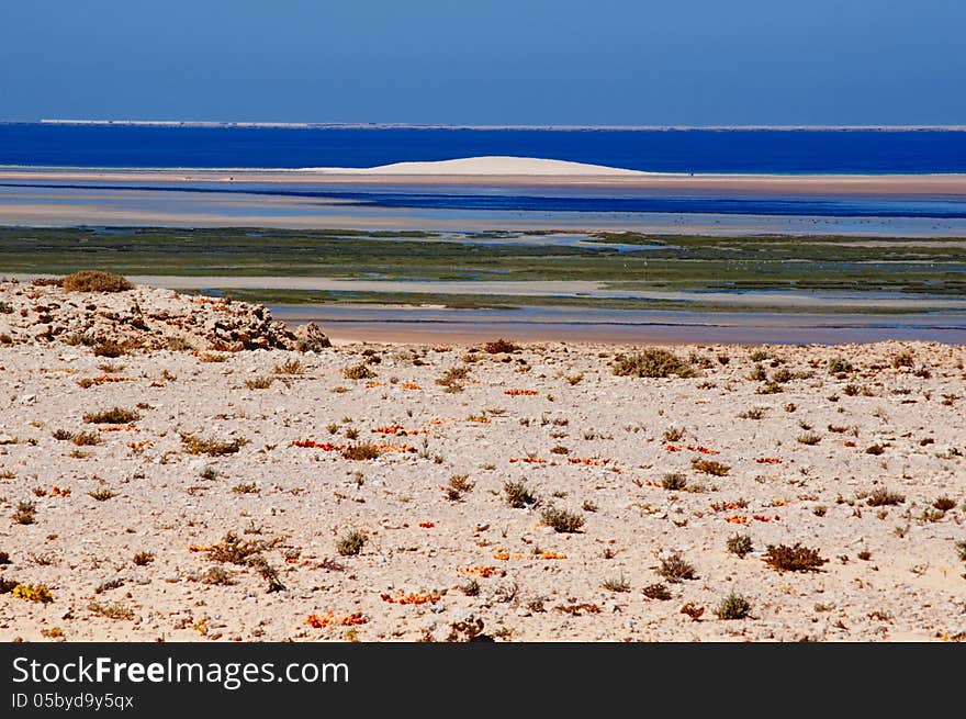 Dunes On Beach