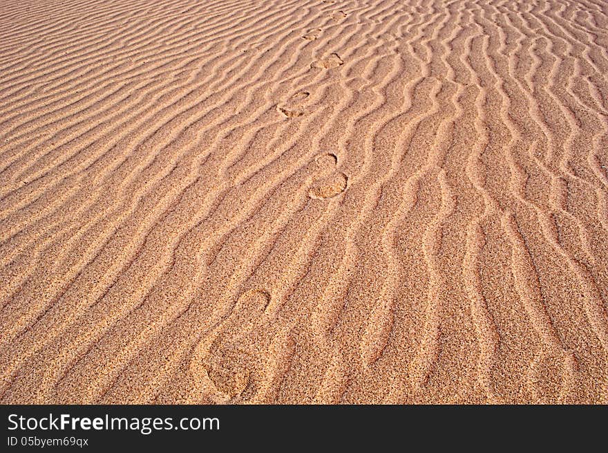 Footprints On The Beach