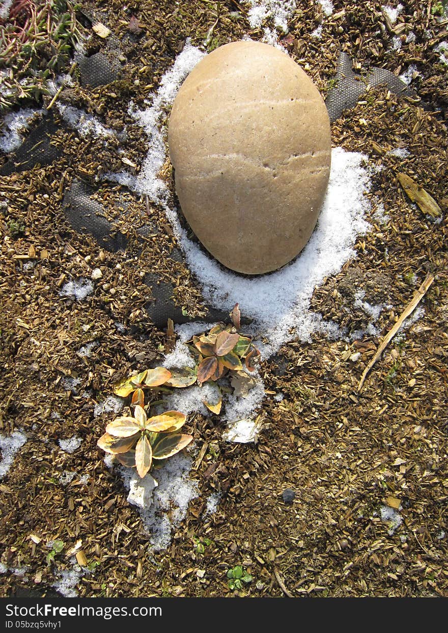 Stone in a rockery