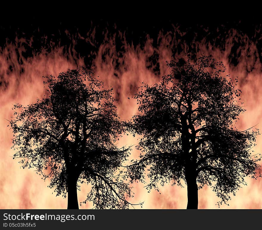 Forest fire