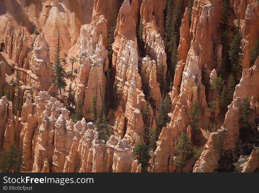 Bryce Canyon 04