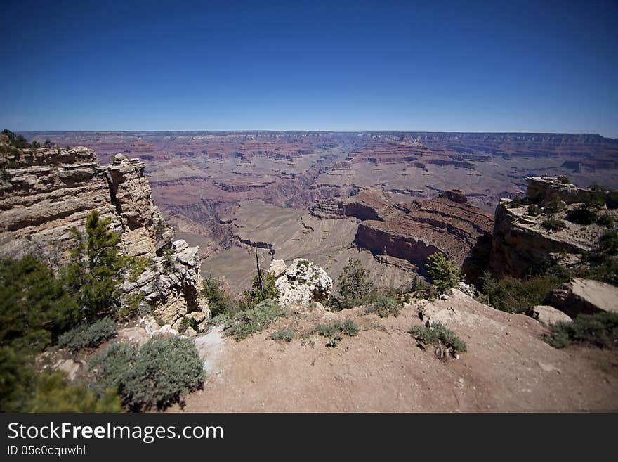 Grand Canyon and horizon as seen from the south ridge. Bushes in the foreground. Grand Canyon and horizon as seen from the south ridge. Bushes in the foreground.